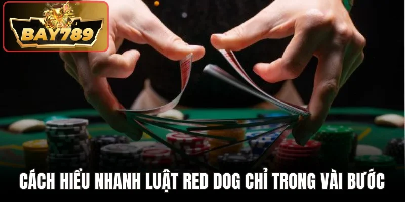 Cách hiểu nhanh luật Red Dog chỉ trong vài bước