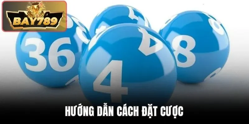 Hướng dẫn cách đặt cược