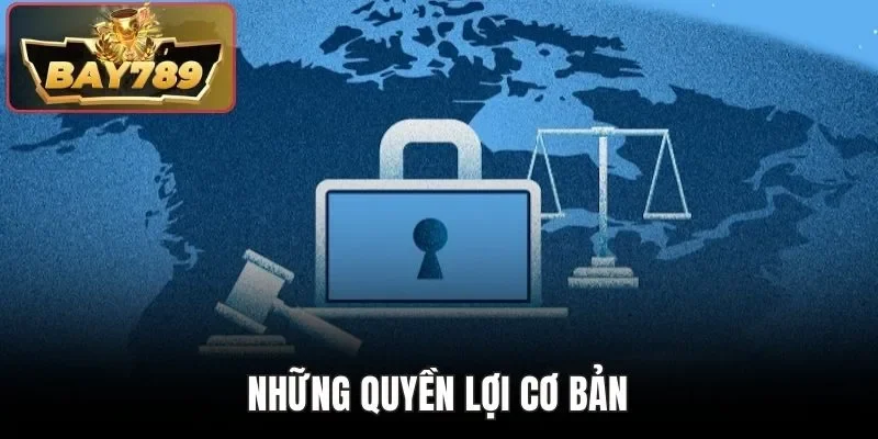 Chính Sách Bảo Mật BAY789 - Chơi Game An Toàn Tại Website 2 Những quyền lợi cơ bản