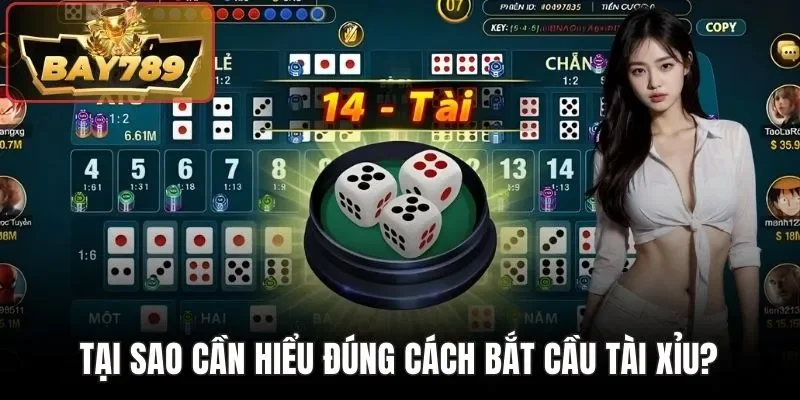 Tại sao cần hiểu đúng cách bắt cầu Tài Xỉu?